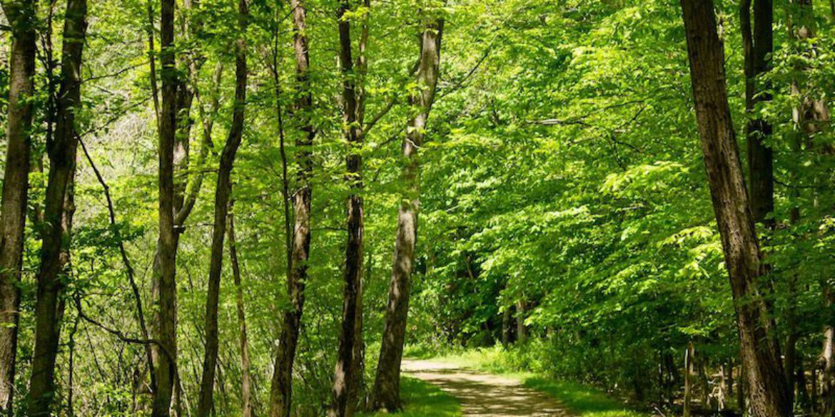 jungiyen yaklaşım analitik psikoloji bilinçdışı süreçler rüya analizi arketipler içsel örüntüler anlam arayışı