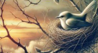 Duygusal Bağımlılık: İçsel Özgürlüğünüzü Geri Kazanın